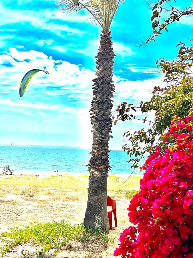 Windsurf Beach Front Torre Grande Exteriér fotografie